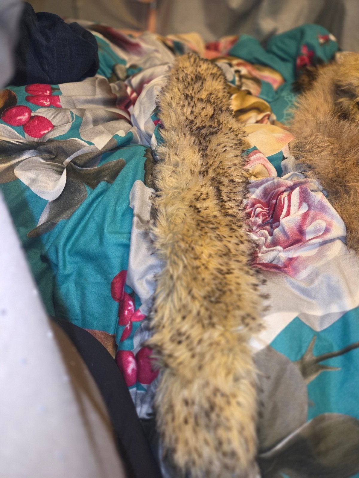 Lange Lynxbont, Kleding | Dames, Onbekend, Ophalen of Verzenden, Nieuw