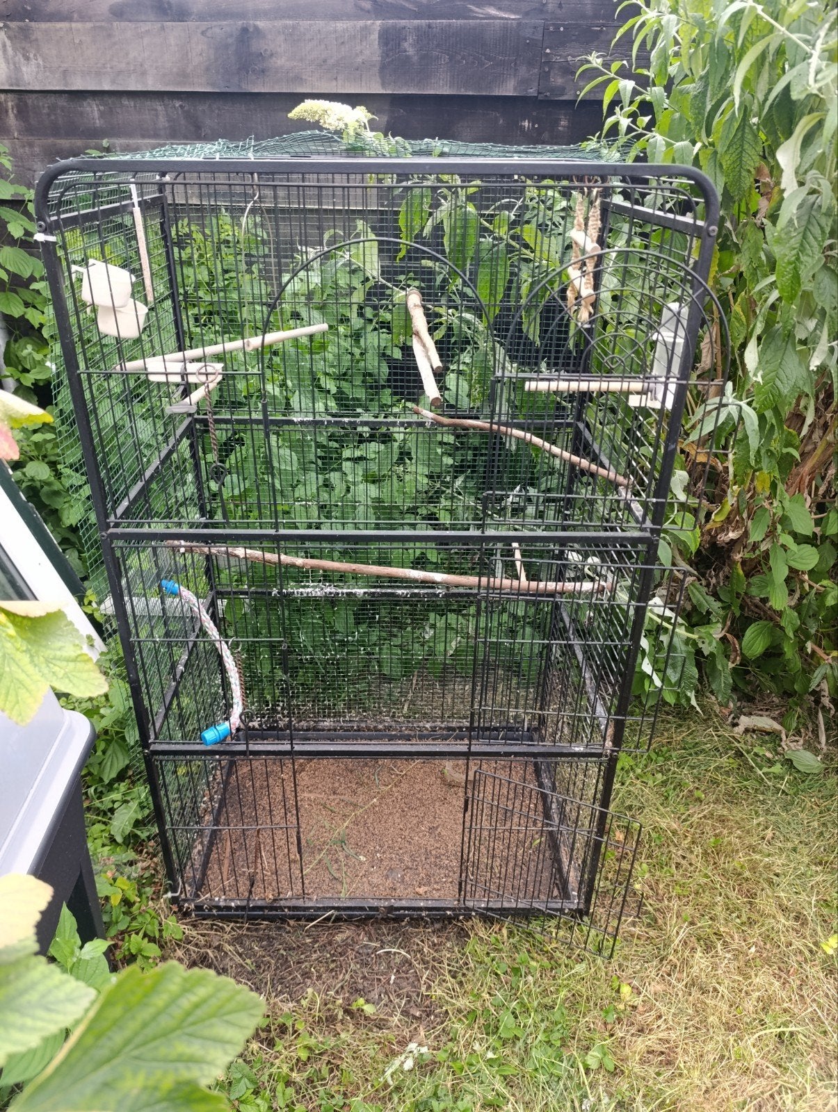 Grote vogelkooi, Dieren en Toebehoren, Vogels | Hokken en Kooien, Ophalen, Gebruikt, Metaal, Vogelkooi