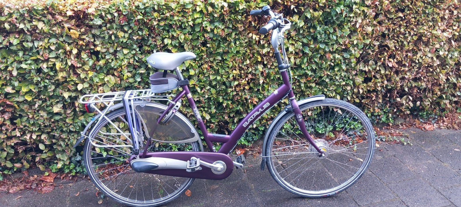 Batavus Damesfiets 28 inch, 3 versnellingen, Framemaat 57cm, Gebruikt, Versnellingen, Batavus, 56 cm of meer