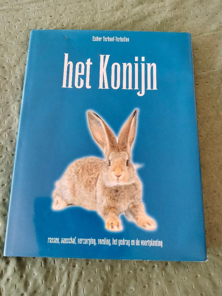 Het konijn, Gelezen, Niet van toepassing, Ophalen of Verzenden, Esther Verhoef - Verhallen