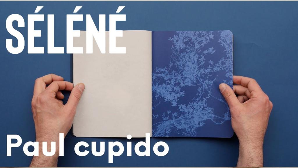 Gezocht: Boek Séléné van Paul Cupido, Ophalen of Verzenden, Nieuw, Fotografen