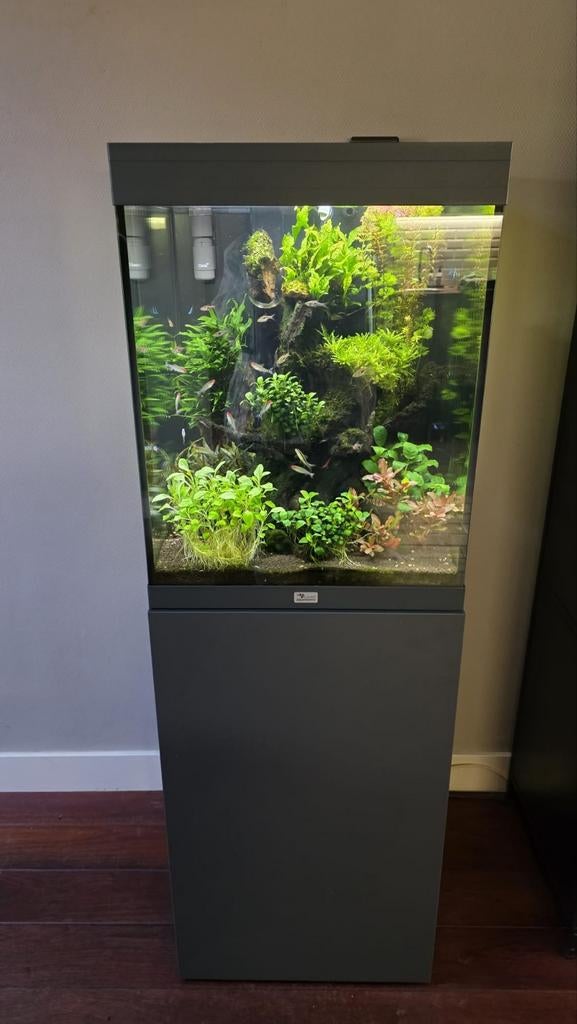 Aqualantis Tower 163 Aquarium Antraciet (inc. visbestand), Ophalen, Zo goed als nieuw, Gevuld zoetwateraquarium