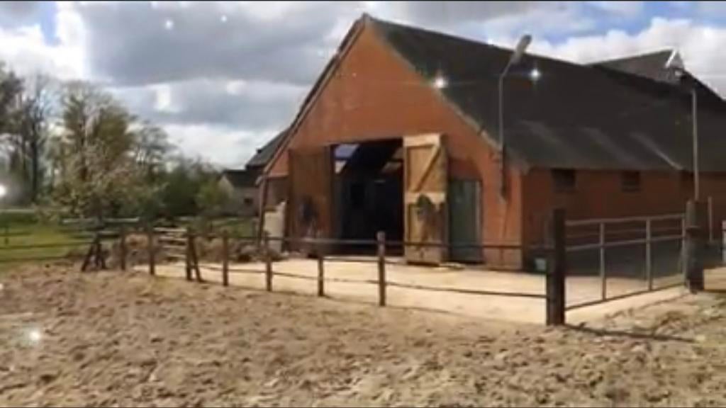 Stalling aangeboden, Dieren en Toebehoren, Stalling en Weidegang, Stalling
