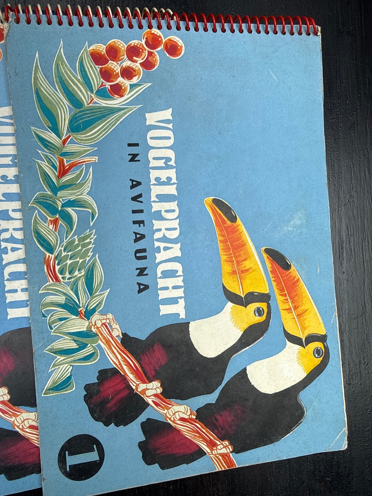 Vogelpracht in Avifauna & Eendervolk - Vintage Boeken, Boeken, Ophalen, Gelezen, Vogels