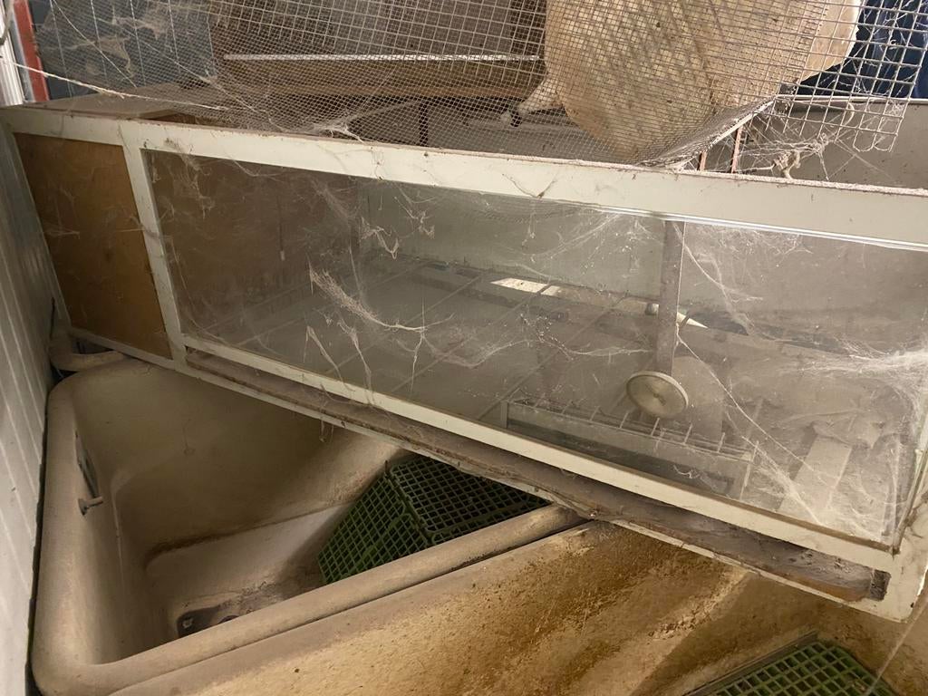kunstmoeder voor opvang kuikens, Dieren en Toebehoren, Ophalen, Gebruikt, Overige materialen, Broedkooi of Kweekkooi