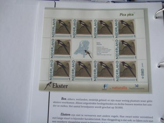 Prachtig vel vogels Ekster, Verzenden, Postfris, Dier of Natuur