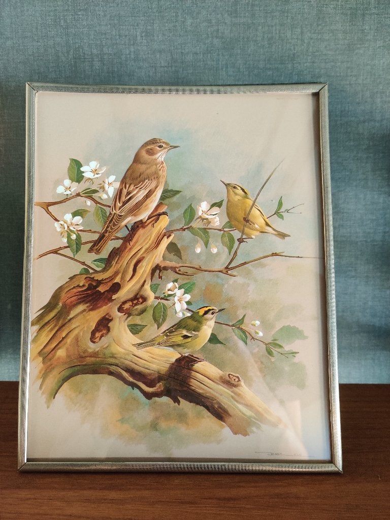 vintage metalen fotolijst 25x20 cm met vogel print brocante, Overige materialen, Gebruikt, Verzenden, Met afbeelding