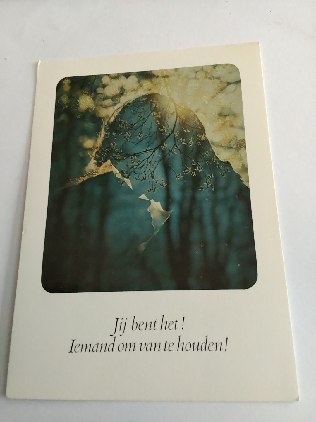 JIJ BENT HET !, Ophalen of Verzenden