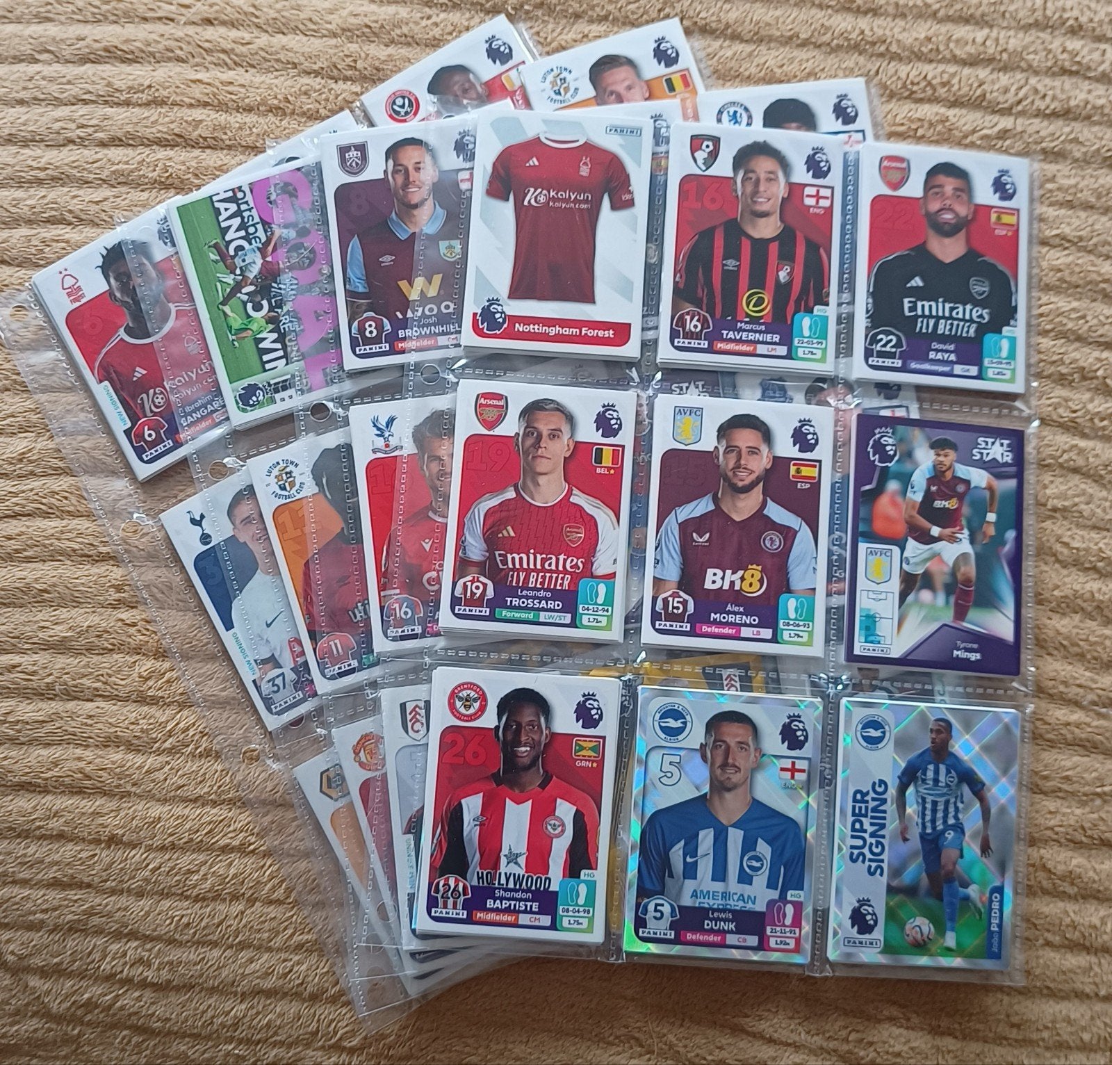 Complete set Panini Premier League 2024, Ophalen of Verzenden, Nieuw, Meerdere stickers