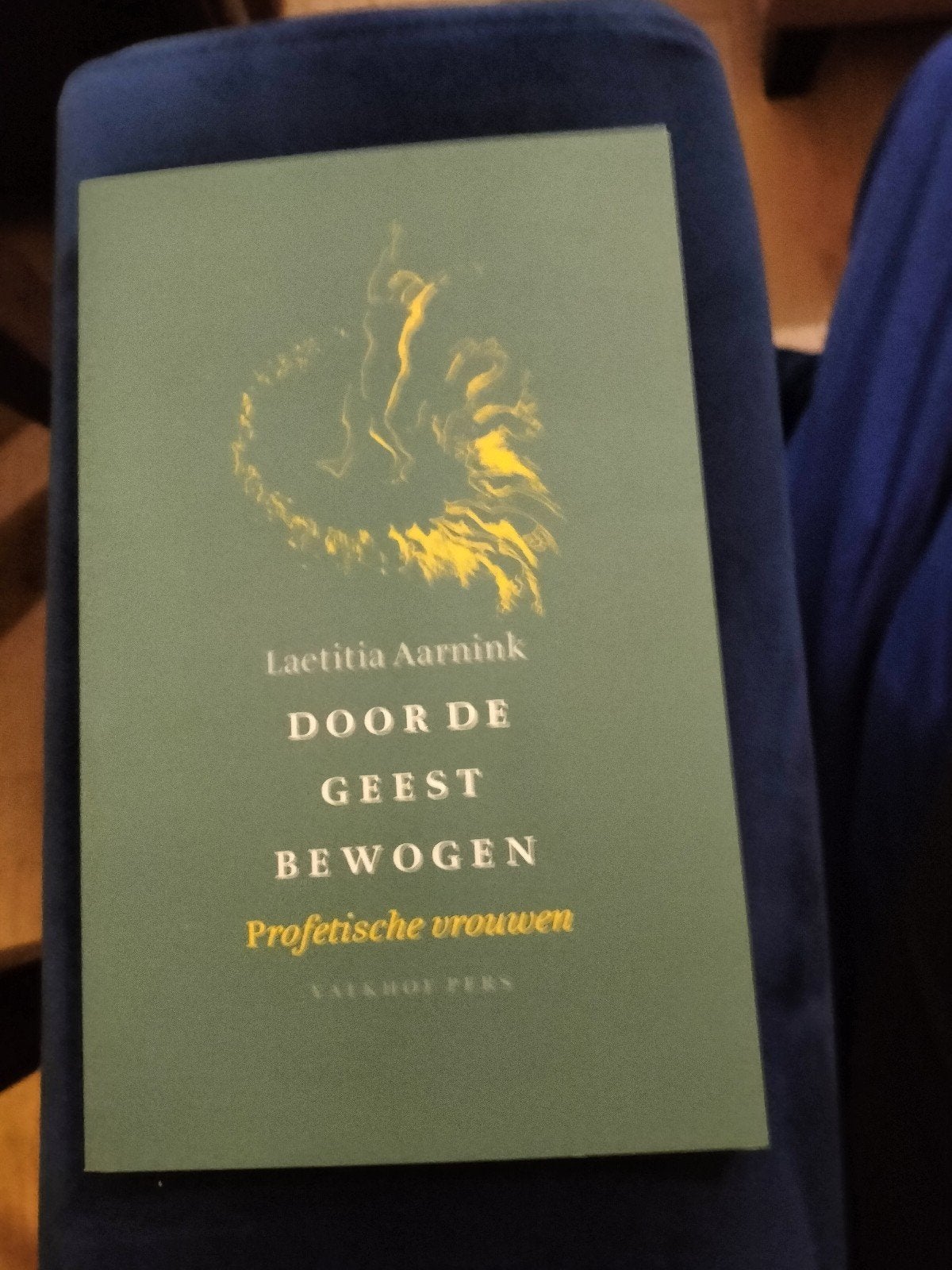 Door de Geest Bewogen: Profetische Vrouwen, Laetitia Aarnink, Verzenden, Zo goed als nieuw, Laetitia Aarnink, Christendom | Katholiek