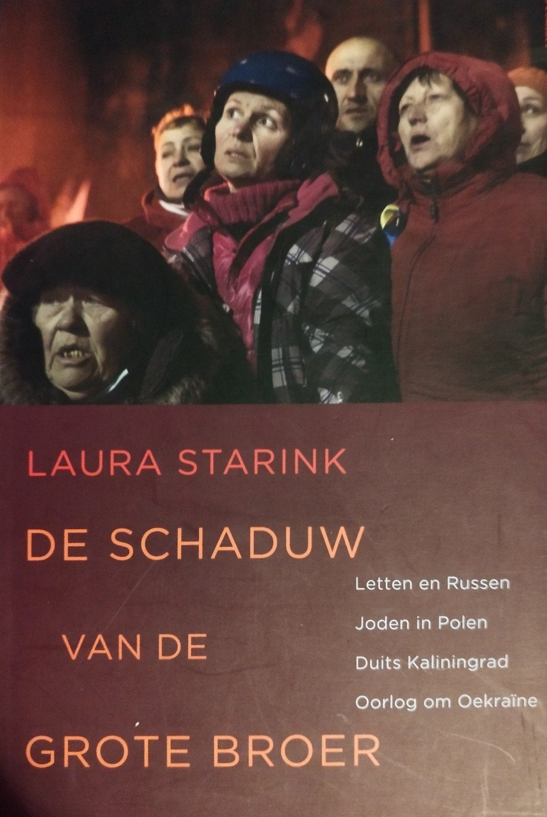 De Schaduw van de Grote Broer - Laura Starink, 20e eeuw of later, Europa, Laura Starink, Ophalen of Verzenden