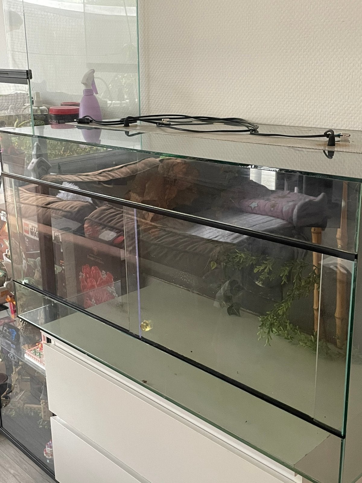 Terrarium, Ophalen, Gebruikt, Terrarium of Paludarium