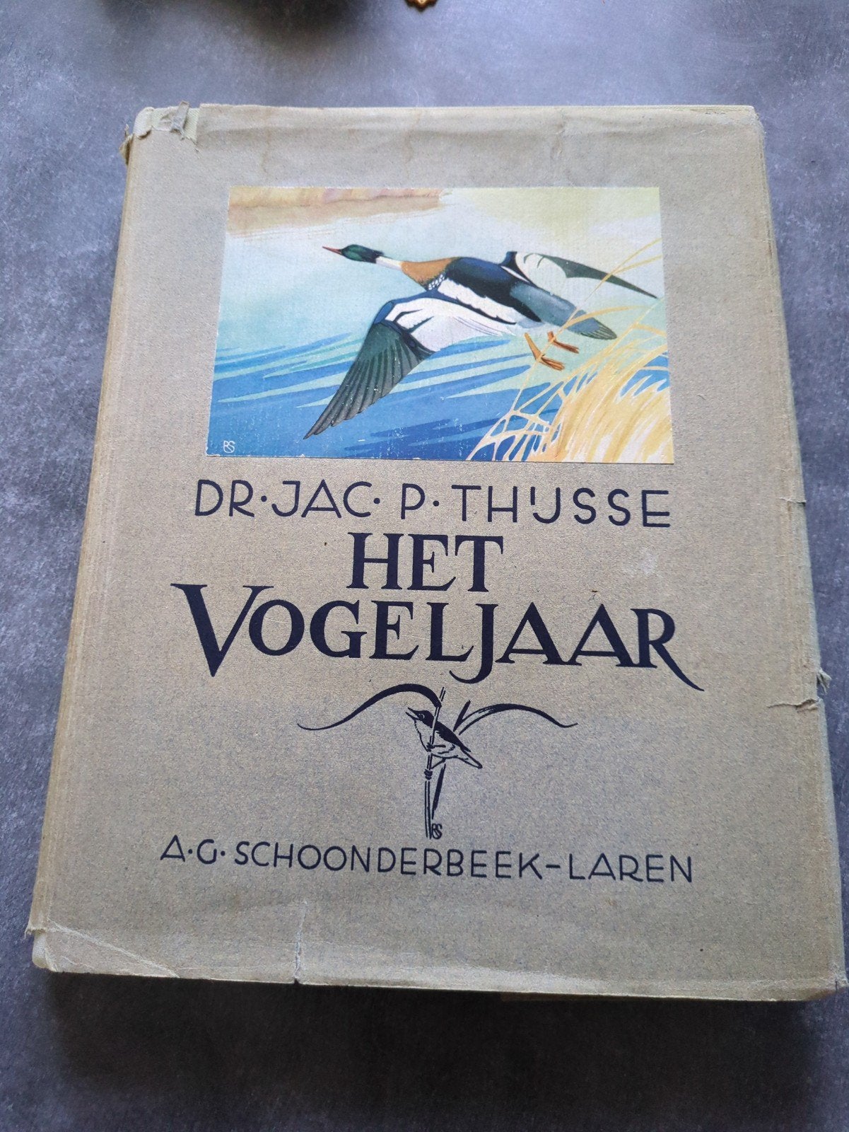 Het Vogeljaar - Dr. Jac. P. Thijsse (Oud boek, opknapbeurt), Boeken, Ophalen of Verzenden, Gelezen, Vogels, Dr. Jac. P. Thijsse