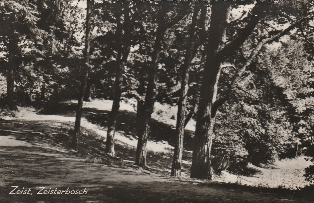 ZEIST Zeisterbosch, Verzamelen, Ansichtkaarten | Nederland, Ongelopen, Utrecht, 1940 tot 1960, Verzenden