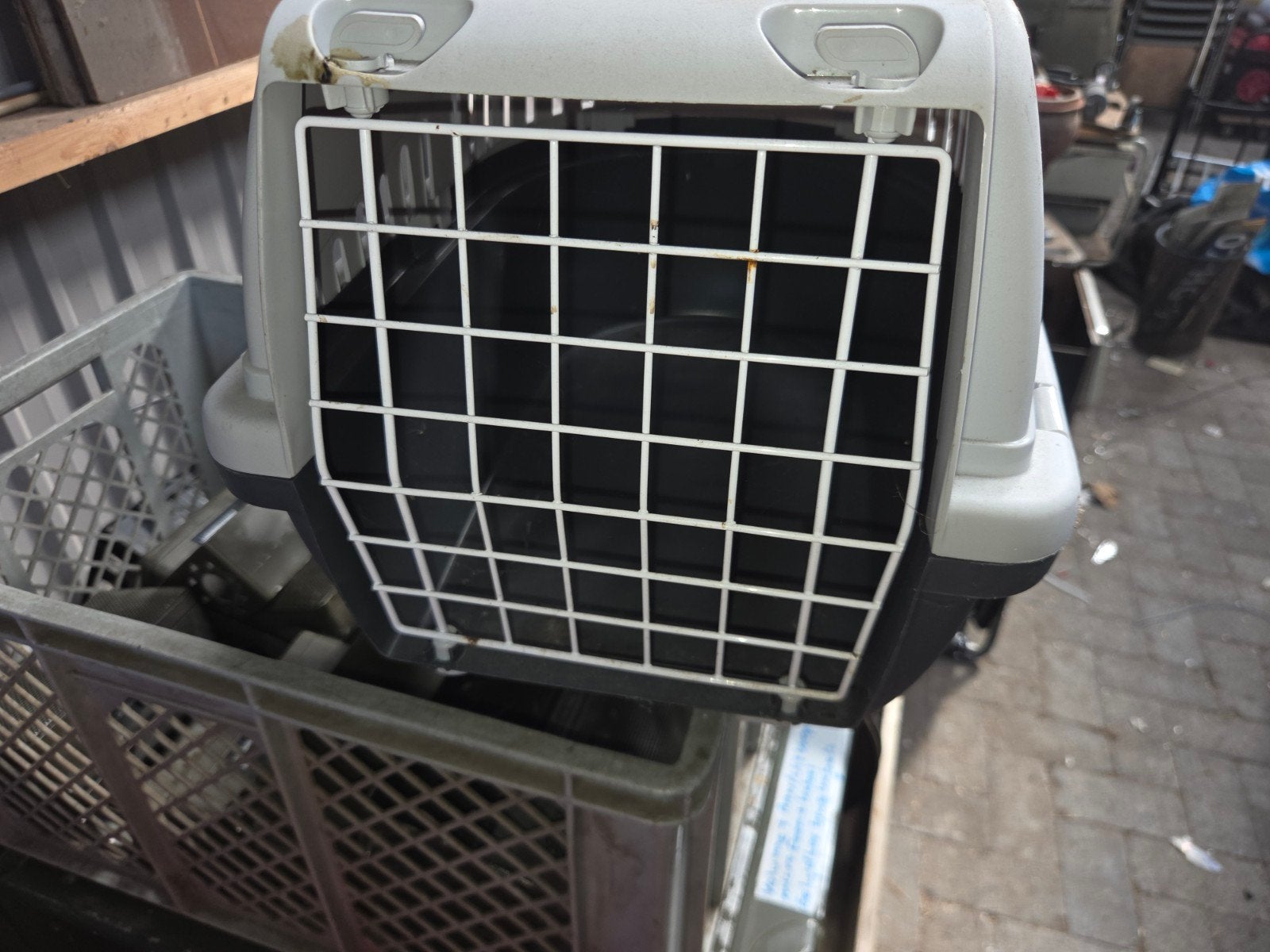 katten reismand, Dieren en Toebehoren, Ophalen, Gebruikt