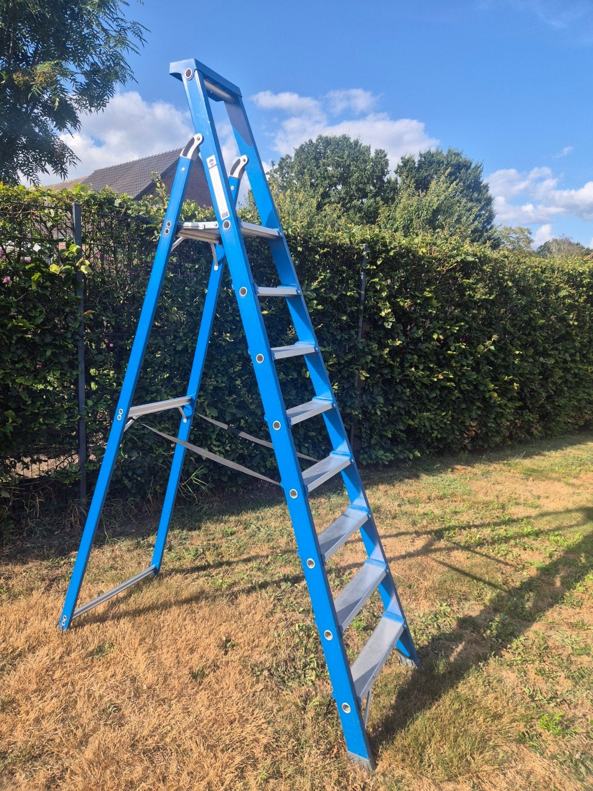Professionele trap 8 tredes  in nieuwstaat, Doe-het-zelf en Verbouw, Ladders en Trappen, Ophalen, Zo goed als nieuw, Trap, 2 tot 4 meter