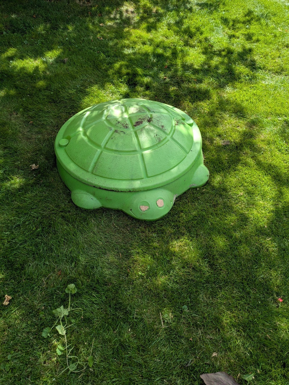 Groene schildpad zandbak voor kinderen, Ophalen