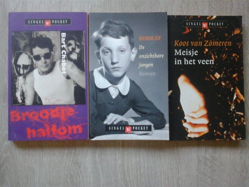 singel pockets-9 stuks-uitstekende staat-losse verkoop, Boeken, Ophalen of Verzenden, Zo goed als nieuw