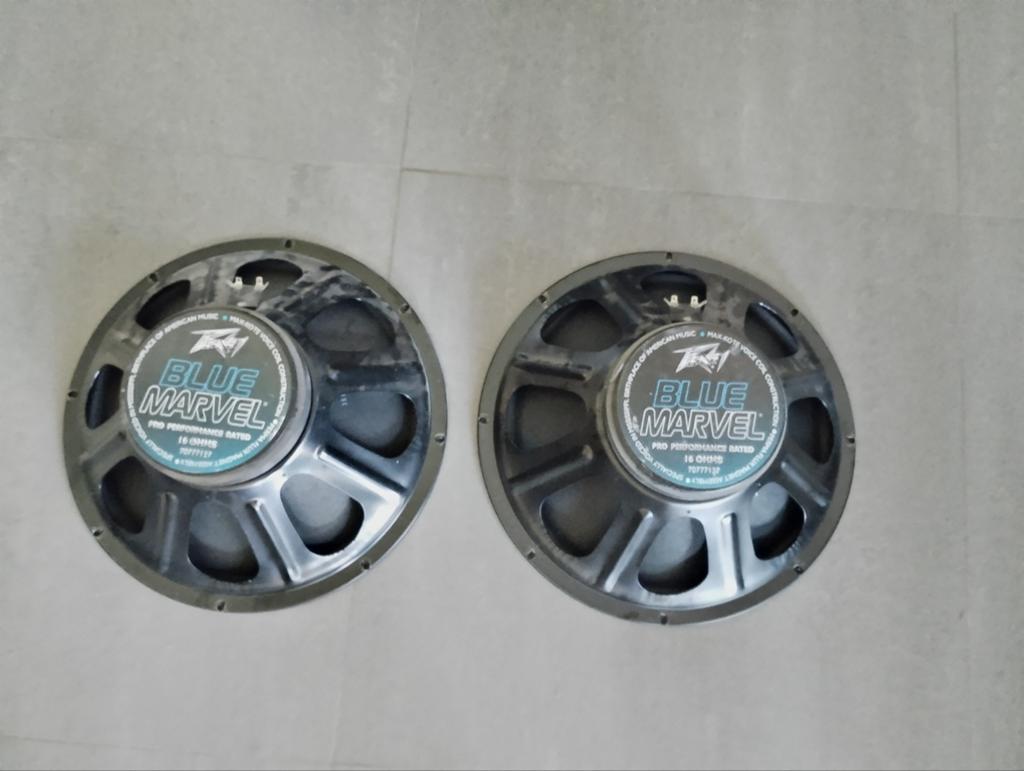 Peavey blue marvel speakers 15 inch 2 stuks izgs, Overige merken, Ophalen of Verzenden, Zo goed als nieuw, 120 watt of meer