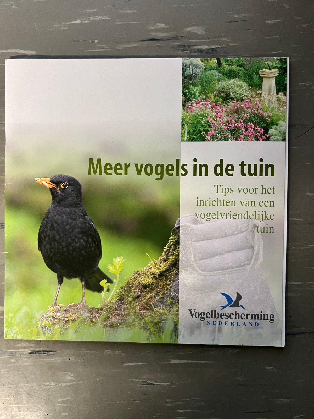 Meer vogels in de tuin - Tips Vogelbescherming, Boeken, Ophalen of Verzenden, Zo goed als nieuw, Vogels