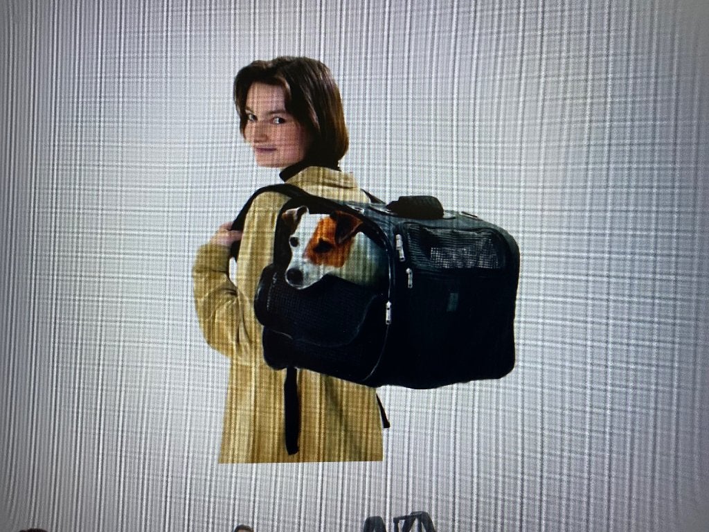 Honden reistas - Kattentas rugzak., Dieren en Toebehoren, Ophalen of Verzenden