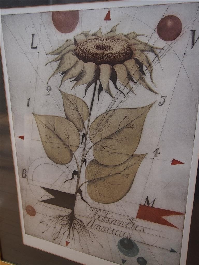 Alois Jamak [1924], kleurenets, zonnebloem, Antiek en Kunst, Ophalen