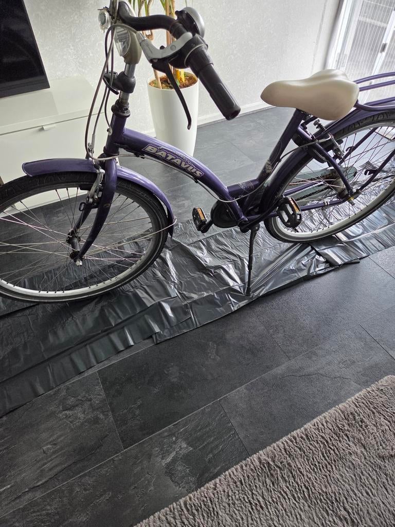 Dames fiets, Ophalen of Verzenden, Zo goed als nieuw, Staal, Dames