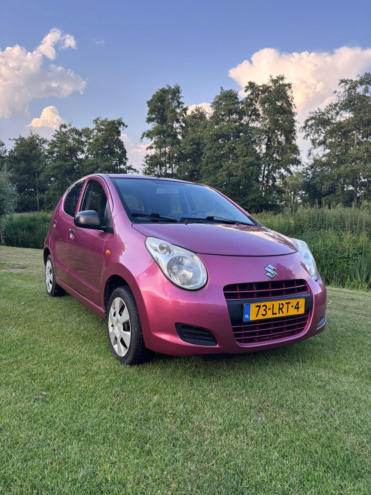Suzuki Alto 1.0 2010, Voorwielaandrijving, 200 kg, Overige kleuren, 4 stoelen
