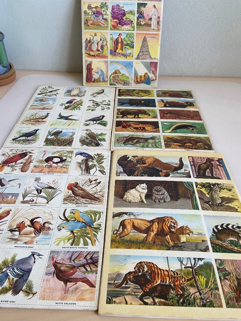 Encyclopedie in zegels vogels dierenwereld katten bijbelse, Boeken, Ophalen of Verzenden, Gelezen