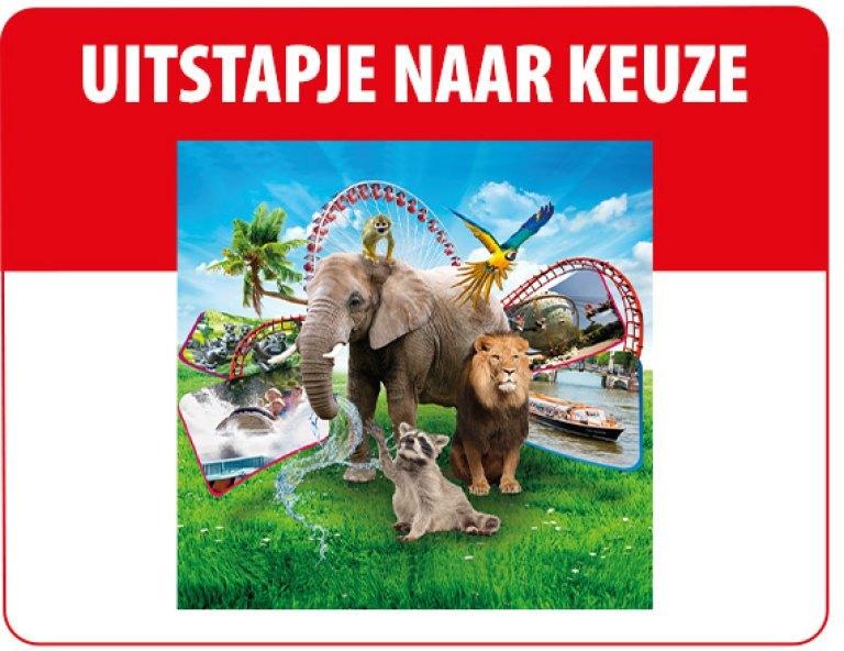 4 E Tickets Uitstapje naar Keuze  Direct in huis!, Drie personen of meer, Ticket of Toegangskaart
