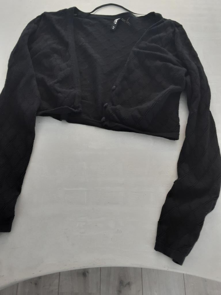 Zwart kanten vestje, Kleding | Dames, Zwart, Maat 42/44 (L), Ophalen of Verzenden, Zo goed als nieuw