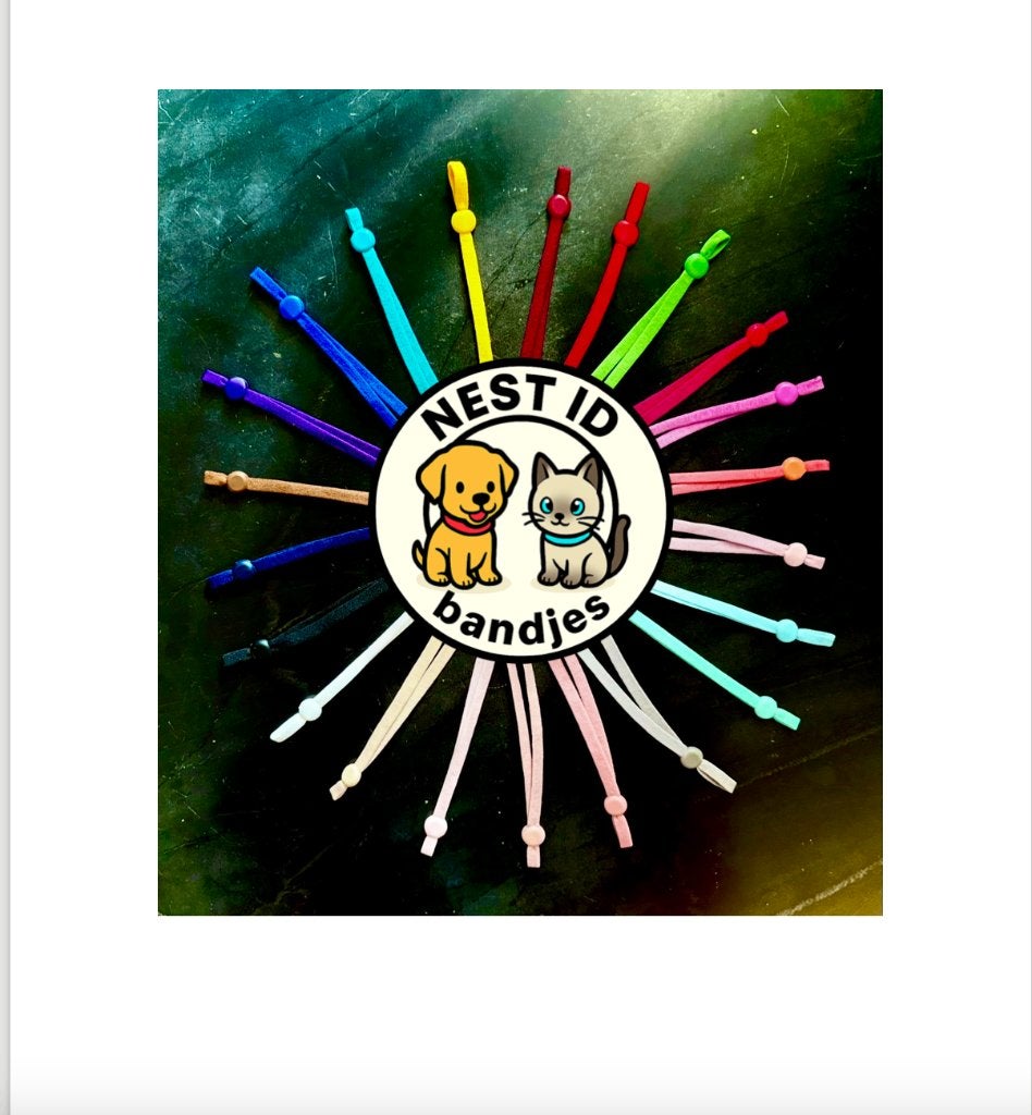Puppy Identificatie Bandjes  Gratis verzending!, Dieren en Toebehoren, Ophalen of Verzenden, Nieuw