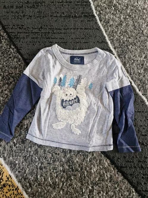 Grijs shirt met sneeuwmonster Maat 86 h3, Kinderen en Baby's, Rebel, Ophalen of Verzenden, Zo goed als nieuw, Onbekend