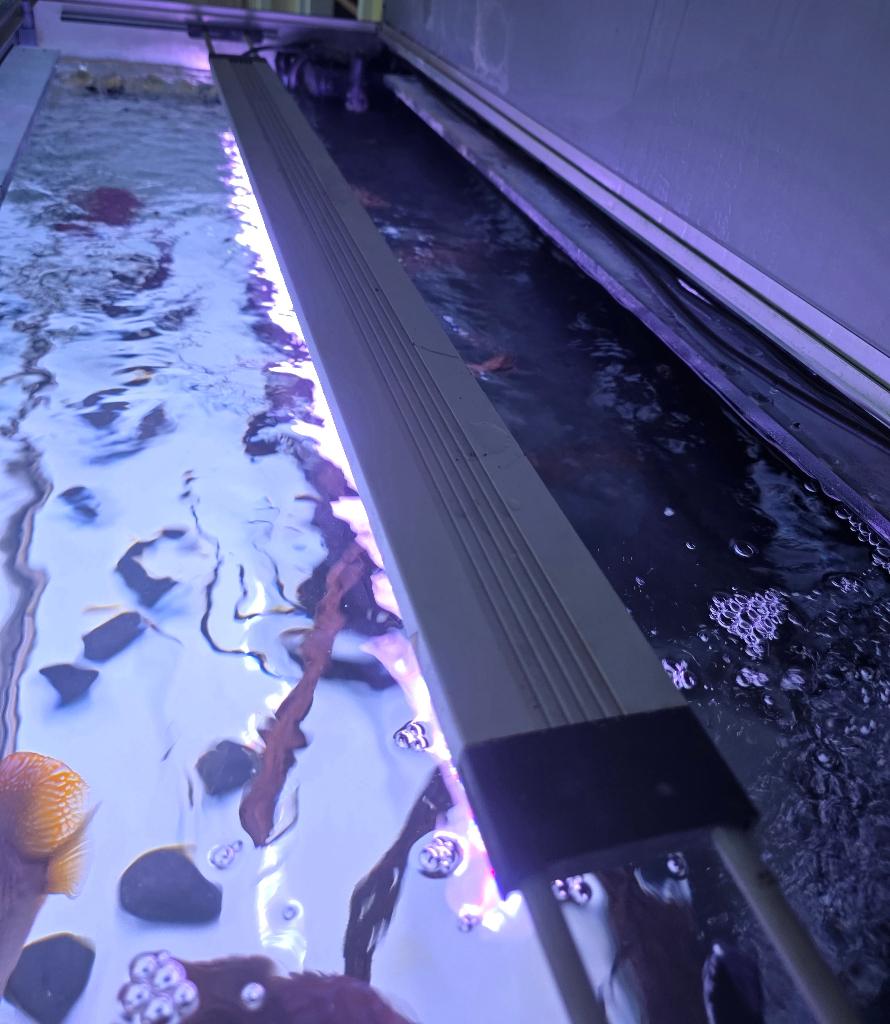 Oase Highline Premium Led 100 Complete systeem, Ophalen, Zo goed als nieuw, Verlichting of Verwarming, Oase