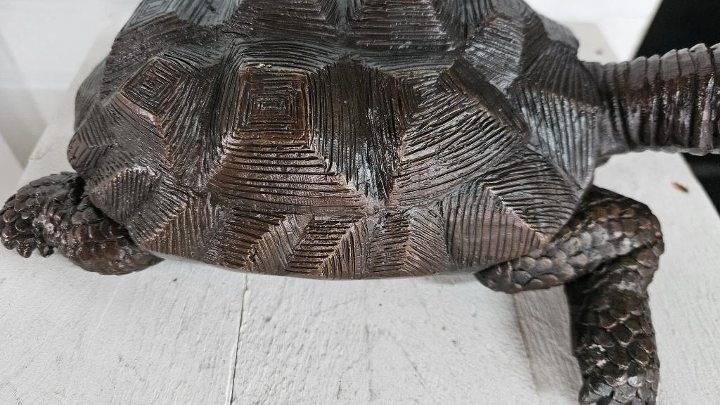 SCHILDPAD / BRONZEN BEELD / FONTEIN, Dierenbeeld, Nieuw, Info@huisentuindecoratiemarie.nl, Huis en tuin decoratie marie