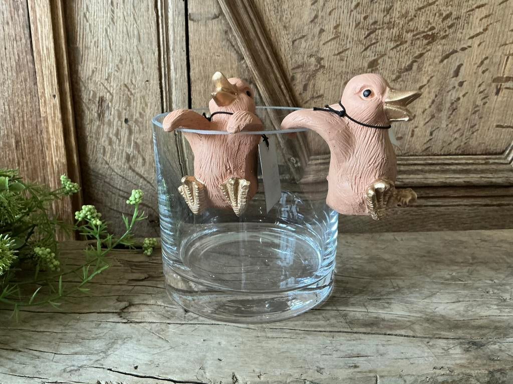 NIEUW set Ducky’s eenden randhangers vaas hangers, Ophalen of Verzenden, Nieuw