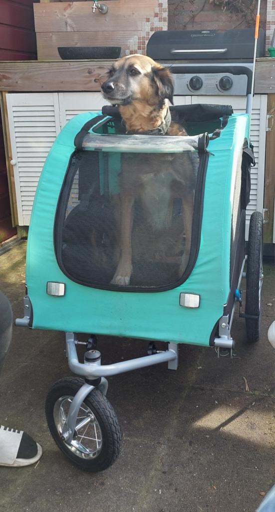 Hondenkar, fietsaanhanger voor hond, Ophalen
