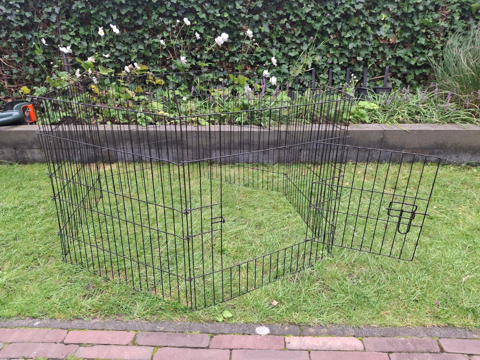Konijnen ren, Dieren en Toebehoren, Ophalen, 60 tot 90 cm, Konijn, Ren