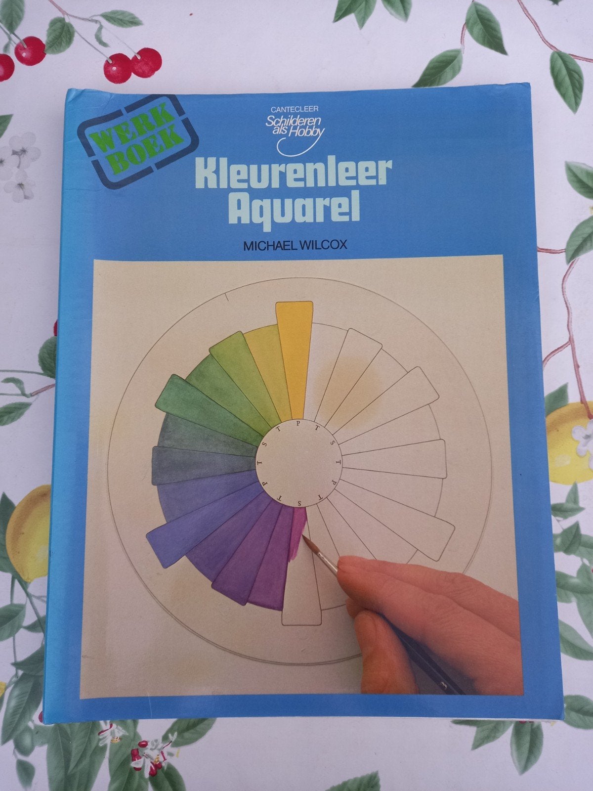 Y Kleurenleer Aquarel Werkboek - Michael Wilcox, Ophalen of Verzenden, Gelezen, Overige onderwerpen, Michael Wilcox