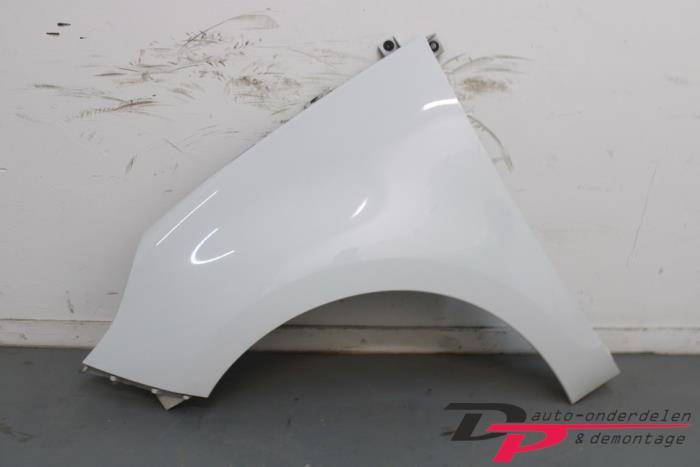 Scherm links-voor van een Renault Grand Scenic (OV369)