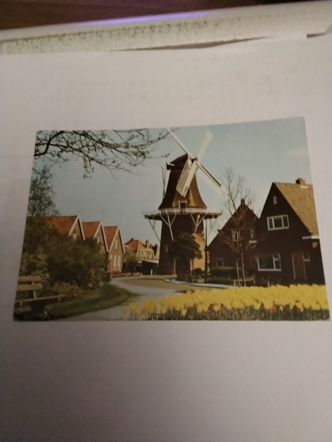 Ansichtkaart Heerenveen - Molen en Tulpen (Ongelopen), Verzamelen, Ophalen of Verzenden, 1980 tot heden, Ongelopen, Friesland