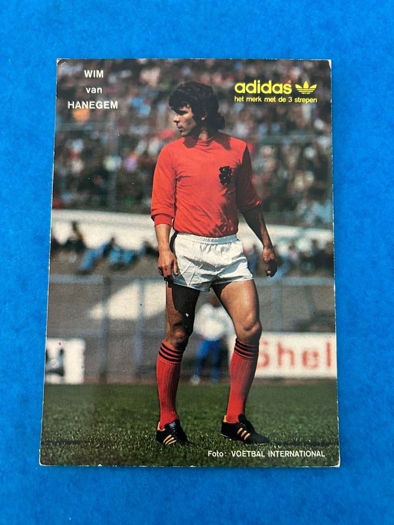 Spelerskaart Wim van Hanegem, Verzamelen, Ophalen of Verzenden, Zo goed als nieuw, Feyenoord, Spelerskaart