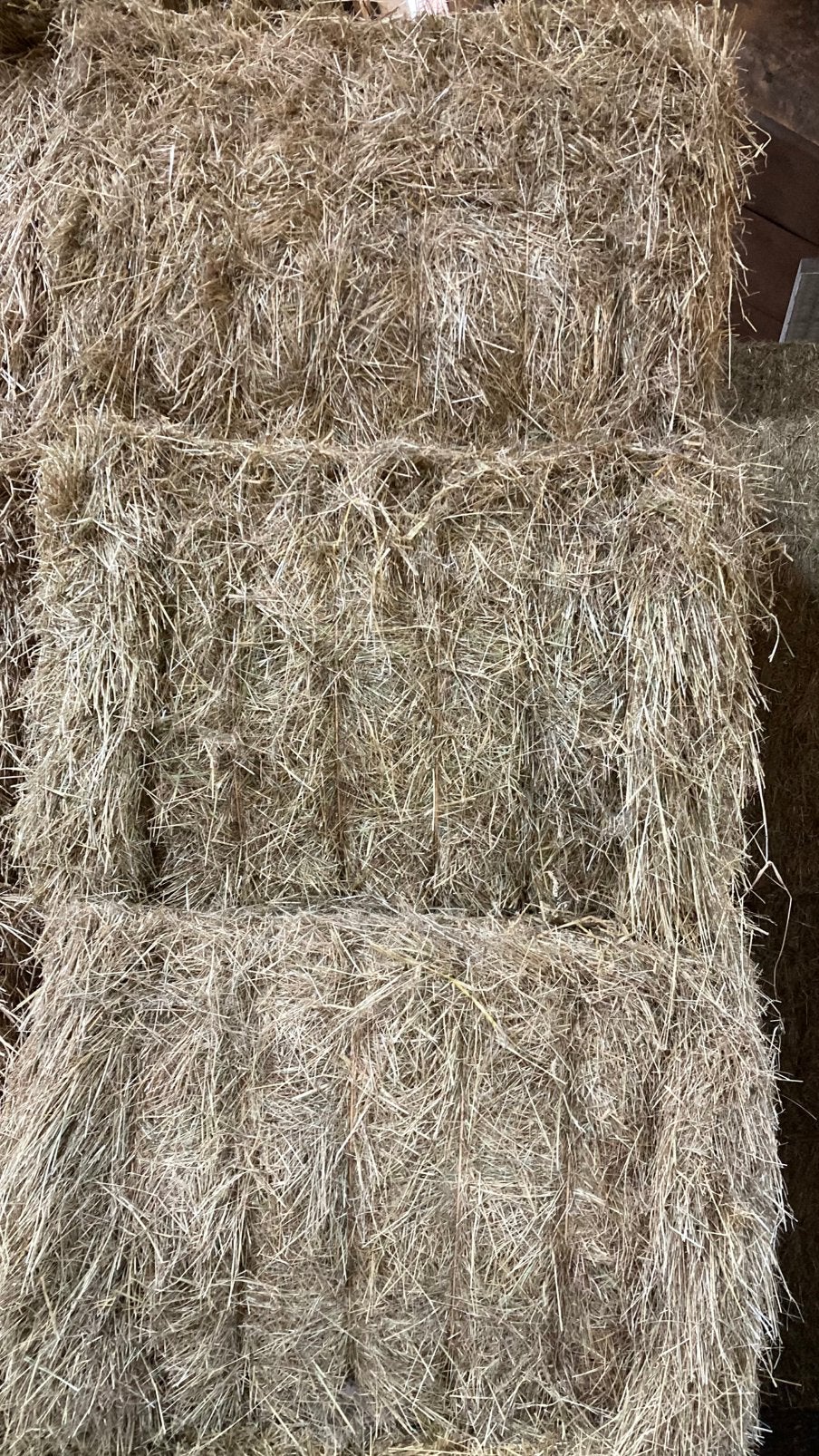 Graszaad hooi, Ophalen, Vee