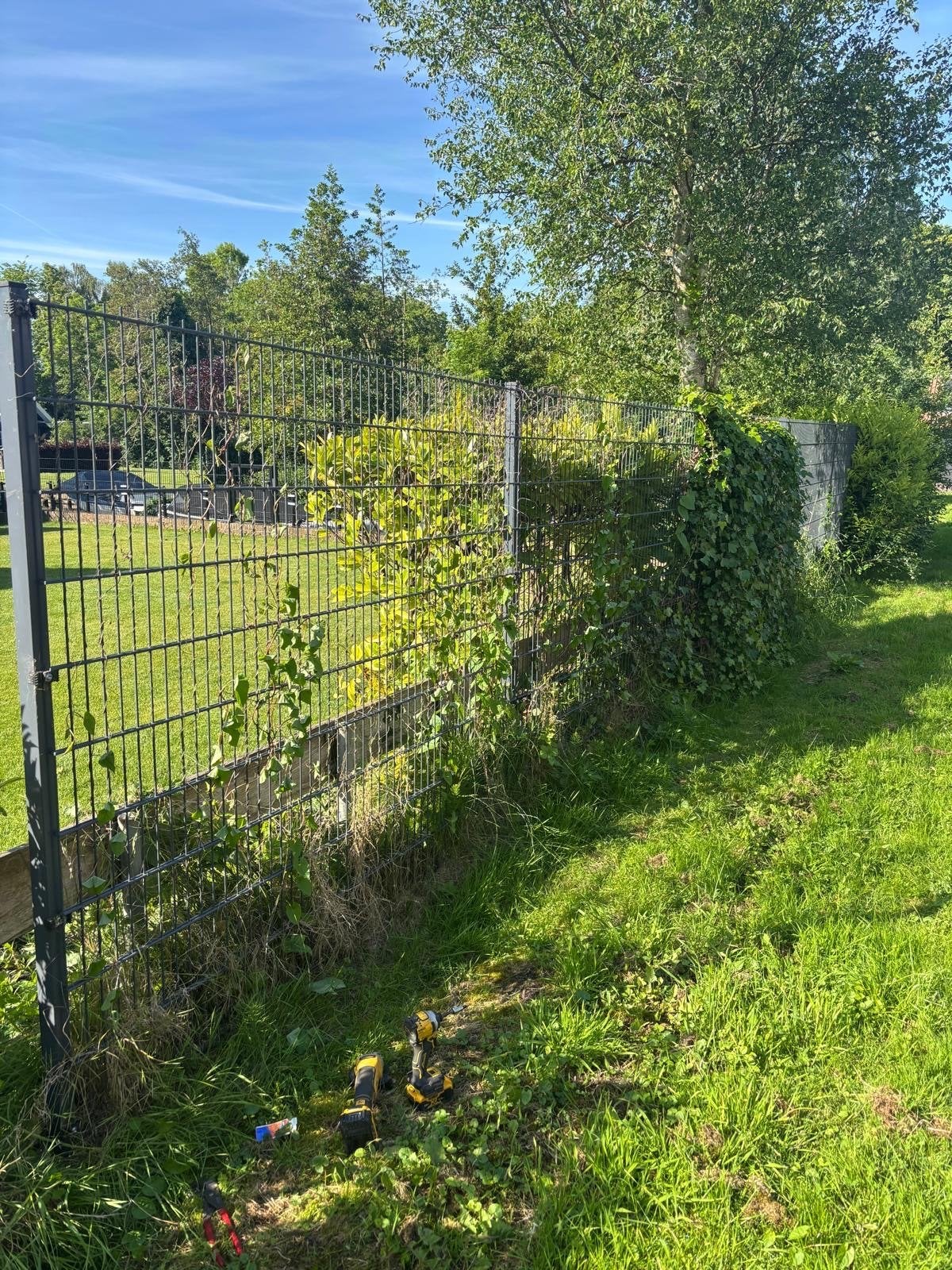 Gebruikt Heras dubbelstaafmat hekwerk 200 cm hoog met palen, Ophalen, Gebruikt, IJzer, Dubbelstaafmat hekwerk
