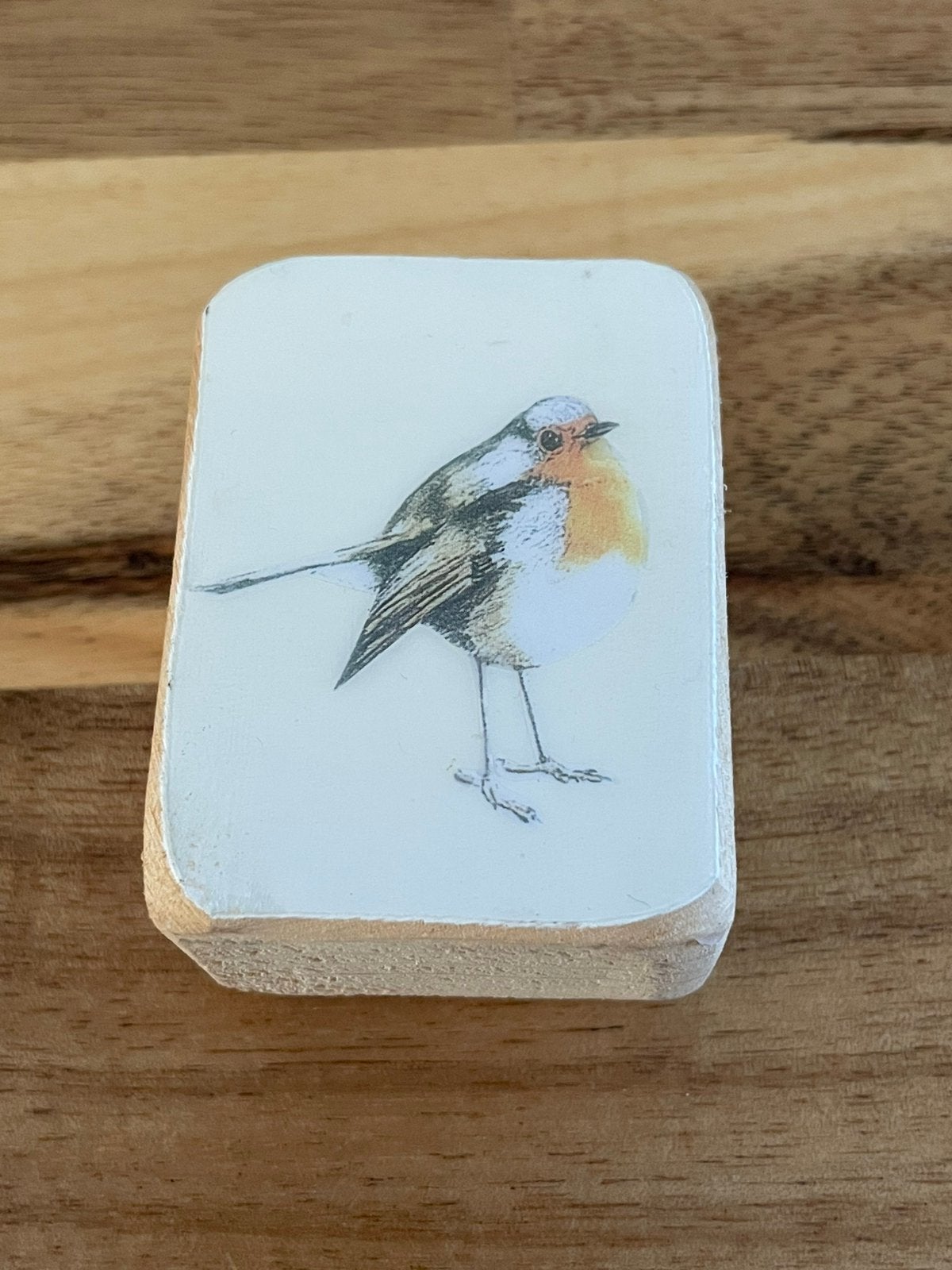 Klein schilderij roodborstje 6 cm, Ophalen, Zo goed als nieuw, Minder dan 50 cm, Schilderij