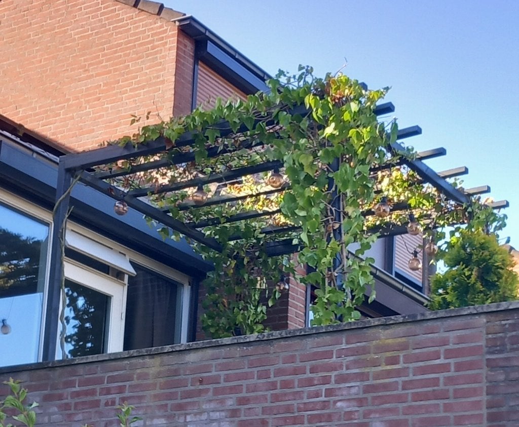 vlonder en pergola, Ophalen, Gebruikt, Hout