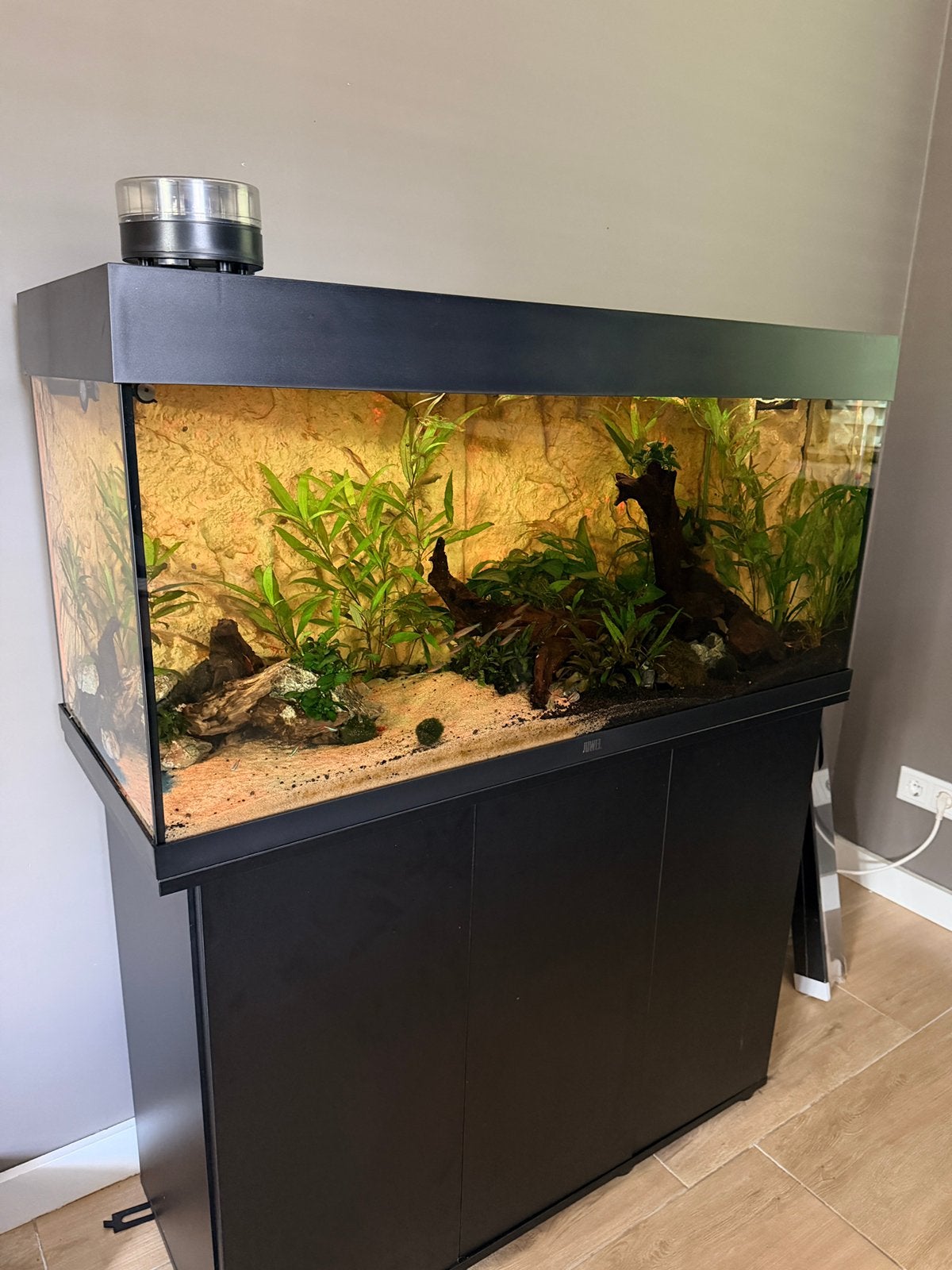 Juwel Aquarium 180L – volledig compleet en instapklaar!, Ophalen of Verzenden, Zo goed als nieuw, Gevuld zoetwateraquarium