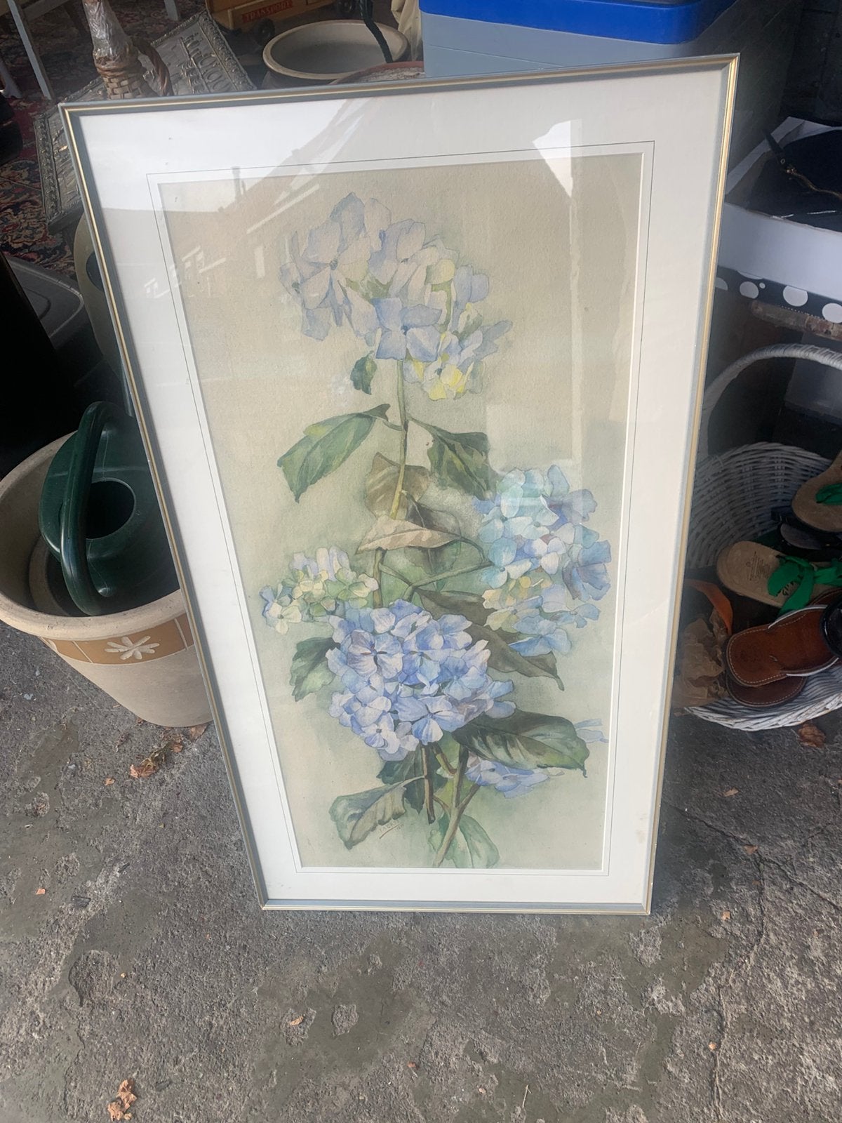 Aquarel I. Aerts ingelijste botanische blauwe hortensia's, Antiek en Kunst, Kunst | Schilderijen | Klassiek, Ophalen of Verzenden