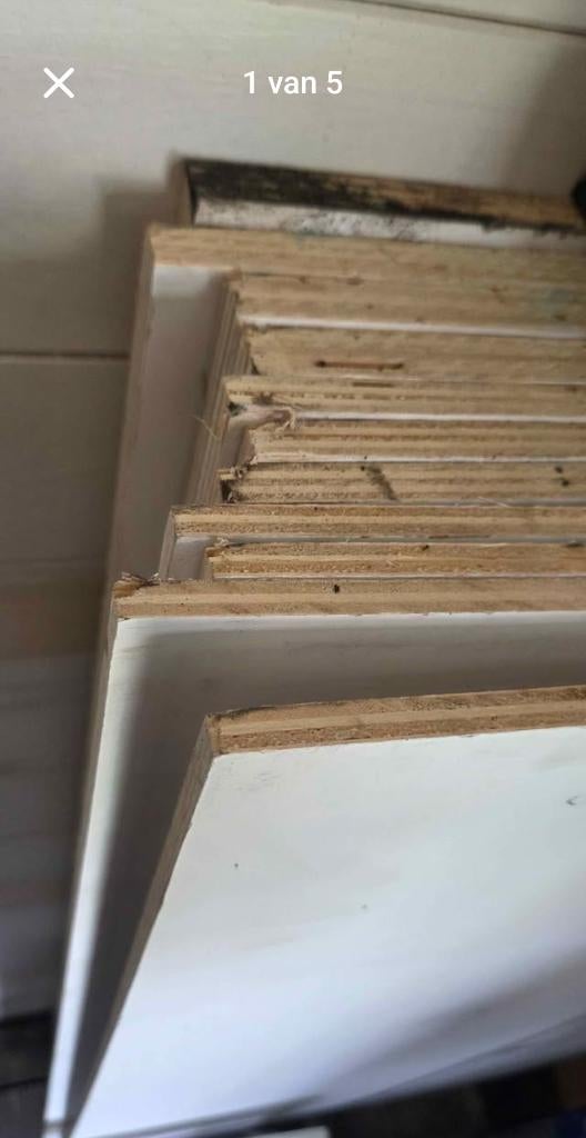 Populieren houten platen, Doe-het-zelf en Verbouw, Hout en Planken, Ophalen, Minder dan 25 mm, Overige typen, Nieuw