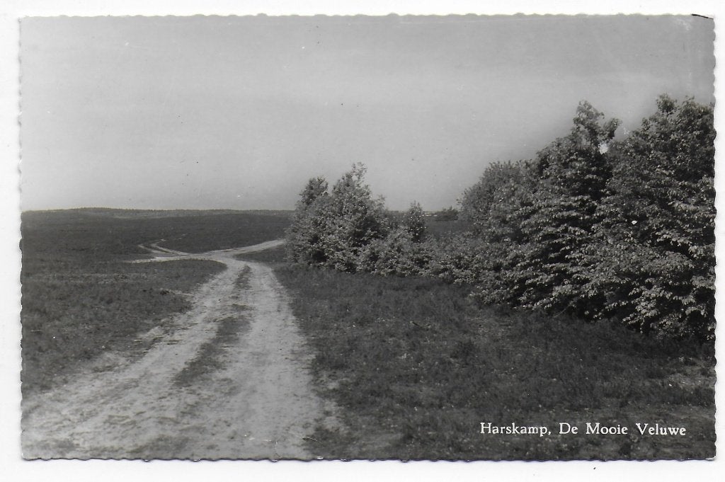 Harskamp Ansichtkaart Uit 1958 (B7286 ), Ophalen of Verzenden, 1940 tot 1960, Gelopen